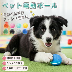 ★最大15%オフクーポン★ペット用 電動おもちゃボール 自動回転 不規則 動作 光る USB充電 Type-C対応 2モード 切替 静音 設計 犬 猫 兼用 室内 遊び 留守番 運動不足 対策 ストレス 軽減 小型 約6.6cm TPE素材 丈夫 噛みつき 対応 分解可能 水洗い お手入れ簡単