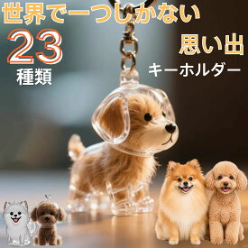 ★最大15%オフクーポン★犬の毛収納キーホルダー 透明ケース入り ペット遺毛メモリアルグッズ 可愛い記念ボトル 抜け毛保存 柴犬 トイプードル対応 ギフトにも◎ 愛犬の抜け毛を大切に保管できる 思い出をいつもそばに 小型犬の毛をしっかり収納可能