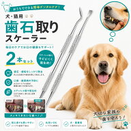 犬 歯石取り スケーラー 2本セット 口臭 予防 歯周病 対策 口内 メンテナンス 歯ぐき 健康維持 歯垢 固ま…