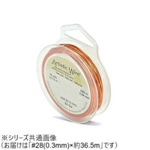 AW C[iI[hXv[Xj i`28(0.3) 28i0.3mmj36.5myz [֑Ήi