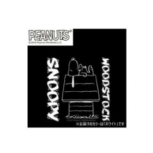 A[NX(axs) SNS-35 SNOOPY(Xk[s[) ]ʃXebJ[ HOUSE zCgyz [֑Ήi