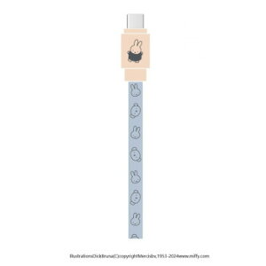 ~btB[ PD60WΉ USB2.0 Type-CP[u ~btB[{X MF-473Cyz [֑Ήi