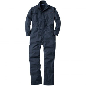 Ka 39010 Ȃ 6LTCY lCr[(1) SOWAyz