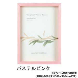 A.P.J. BOXt[ A[g{bNXt[(:35mm) 30pTCY(300×300mm)@pXesNE1000018086yz