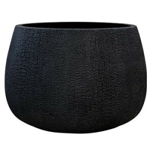 O[|bg Aؔ o[Ebh V[ ubN 32cm GA-2932BKyz