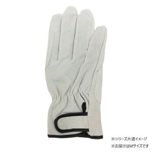 쏤 G[X ؏v }WbNe[v Aet MTCY AG547yz