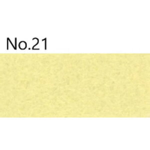 �~�T�T �G�R���C�t No1�t�F���g 40cm���[���� 21�y���������z