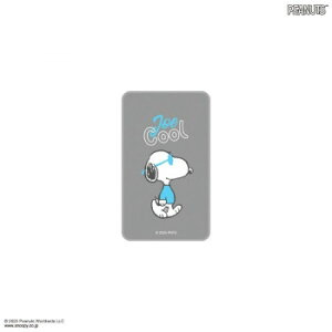 s[ibc Xk[s[ X}₦ Premium W[EN[ SNGG-117Byz [֑Ήi