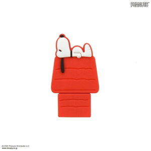 s[ibc Xk[s[ USB Type-C to A ϊA_v^ hbOnEX SNGG-128Ayz [֑Ήi