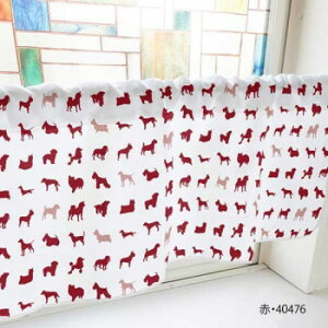 JtFJ[e VGbg 800×450mm@ԁE40476yz