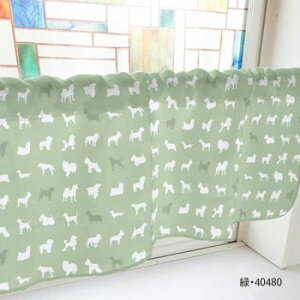 JtFJ[e VGbg 800×450mm@΁E40480yz