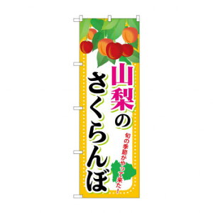 ̂ڂ SNB-1335 R̂ځyz