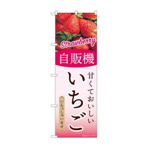 G_̂ڂ SNB-9748 ̋@ yz