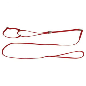 pP[h ^p \tg}[`Q[h S ԁyz