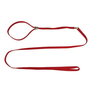 pP[h ^p \tgV[[h M ԁyz