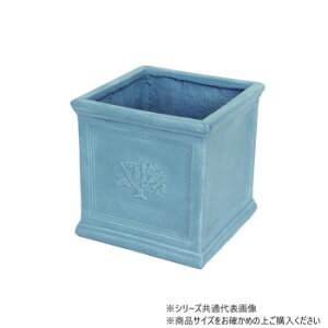 cY XNGA|bgtHXg 7 NaturalBlue 3761yz