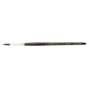 REMBRANDT@ugʉM X/Eh 114@T909-114-06(6)@495290yz [֑Ήi