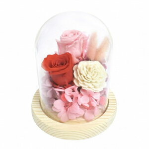 KXh[AWg \C@sN+bh@B14820yz