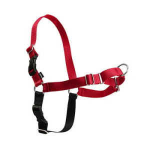 PetSafe Japan ybgZ[t C[W[EH[Nn[lX S bh×ubN EWH-HC-S-REDyz