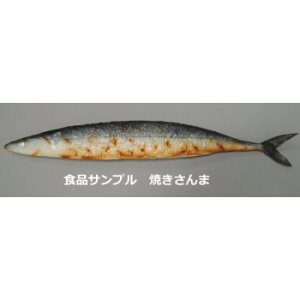 {El HiTv@Ă܁@IP-499yz