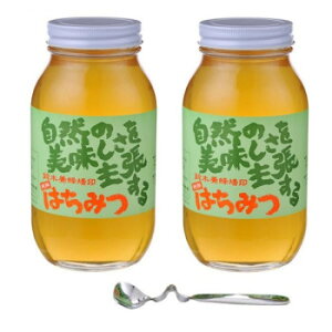 鈴木養蜂場 はちみつ 大瓶2本セット(菜の花1.2kg、レンゲ1.2kg、はちみつスプーン)【送料無料】