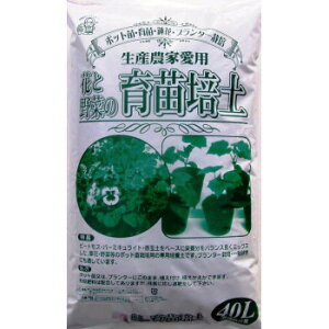 8-14�@���������|�@��c�|�y�@40L�@2�� 1434011�y���������z