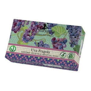 FLORINDA tOX\[v@UCN O[vyz [֑Ήi