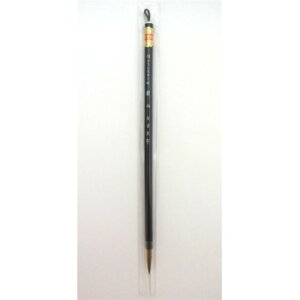 16010@h@(8)@ȗpM@ōC^`сyz [֑Ήi