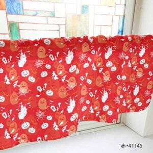 JtFJ[e nEB 1000×450mm@ԁE41145yz