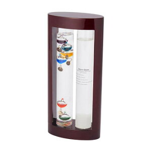 JY Fun Science xvXg[OX 333-279yz