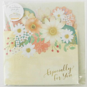 t[ O܂F N[ 62-209yz