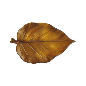 TN@WgC@[tGD@164098yz