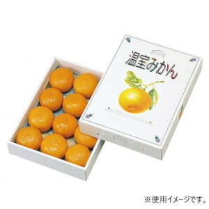 }jpbP[W ݂1kg 80 L-331yz