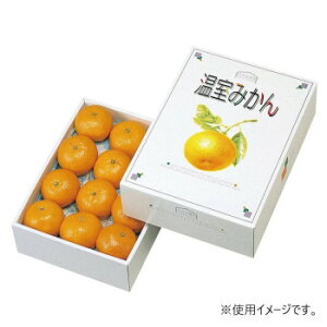 }jpbP[W ݂2kg 60 L-332yz