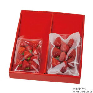 }jpbP[W fBXvC{bNX  [p2i 50 L-2215yz