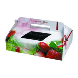 }jpbP[W Xgx[tB[Y2P 100 L-2271yz