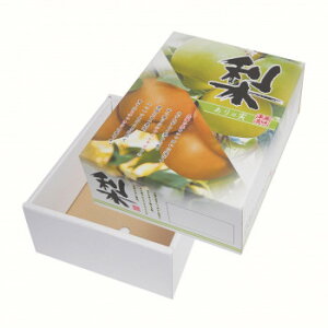 }jpbP[W E̎ 2kg 40 L-2338yz