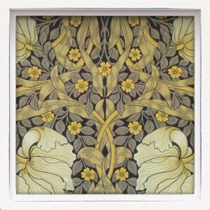 [p[ nX ~jA[gt[ EBA Xuׁ͂v LA-01271yz