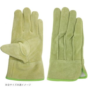 쏤 G[X nq v IC OD  C pSTCY AG2553yz