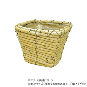 XNGANVbNzCg M@7200008yz