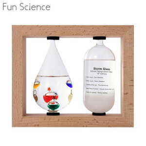 JY Fun Science t@TCGX xvXg[OX 333-272yz