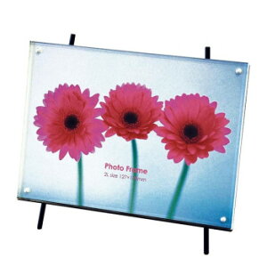 iJoV X^htHgt[ 2L 1i t-ACT-101-2Lyz [֑Ήi