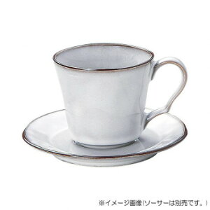 m tF X[NzCg R[q[Jbv C-195cc 13510052yz