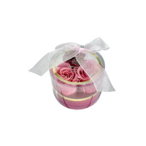 Bloomn u[ [YoXy^ sN ubT[Y̍yz