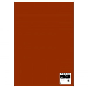 ʐF 100  BS-11 1 Zbgyz