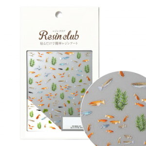 WNu WV[ _J(ʈ) RC-MDK-101yz [֑Ήi