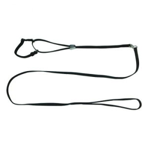 pP[h ^p \tg}[`Q[h S yz