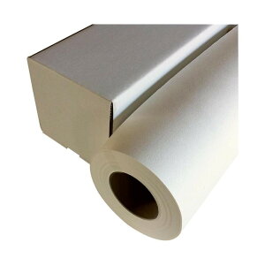 ãCVJ CNWFbga ^Cv 610mm×20m WA019-24yz