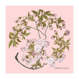gV[ aA[gV[Y ēc^ 19×19cm A1919P-ZESHIN P794 yz [֑Ήi