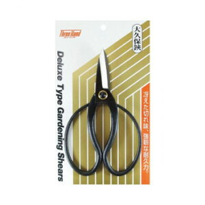 ЎR TH v DX 601200yz